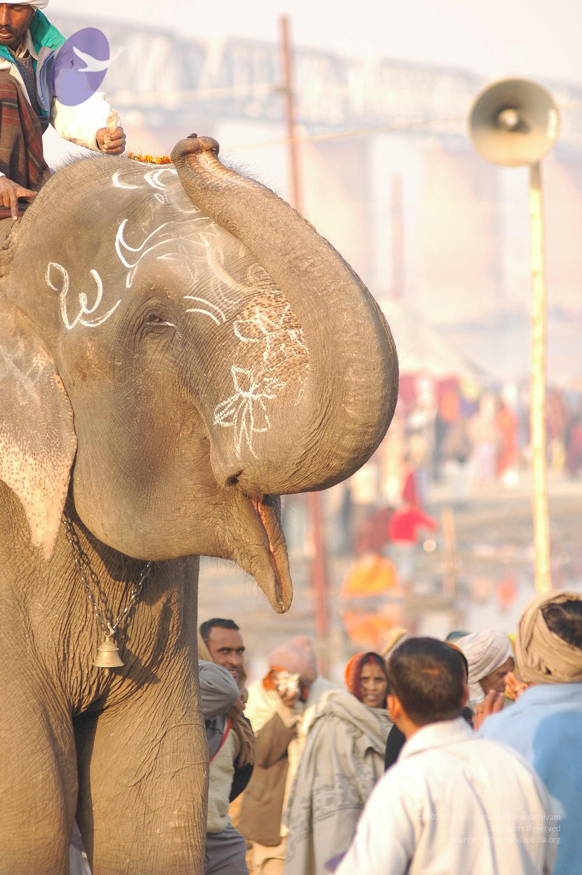 india-Ashram-Dic.30-31-1 -.05-06 176_CMP_WM